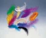 Piume 14 cm: Assorted colors
