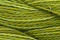Caron Waterlillies 243 Pesto