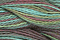 Caron Wildflowers 227 - Desert Shadows