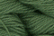 Caron Wildflowers 5002 - Solid Colours