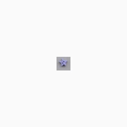 3464S - Small Periwinkle Star