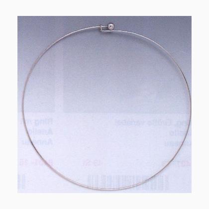 Neck Strap: silver