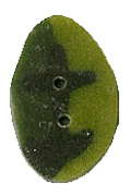 NH1063S - Small Green Elm Leaf