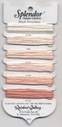 Splendor SC2 - Blush Porcelains