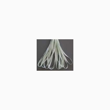 SR4-137A - Rosebud Green