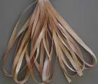 SR13-133 - Pecan