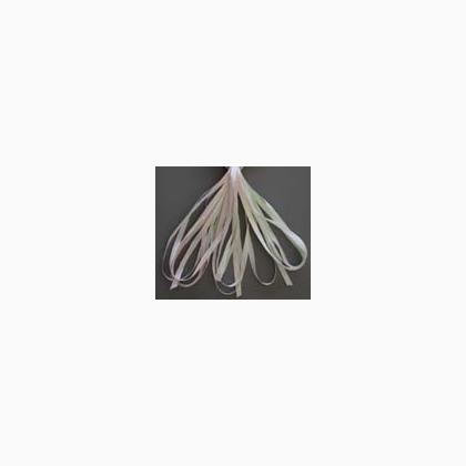 SR13-137 - Rosebud