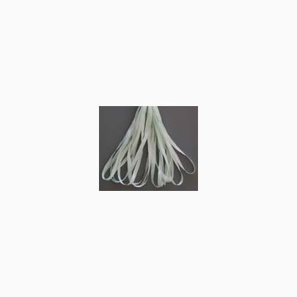 SR13-137A - Rosebud Green