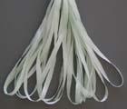 SR13-137A - Rosebud Green