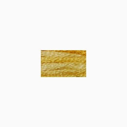 DMC Color Variation 4075