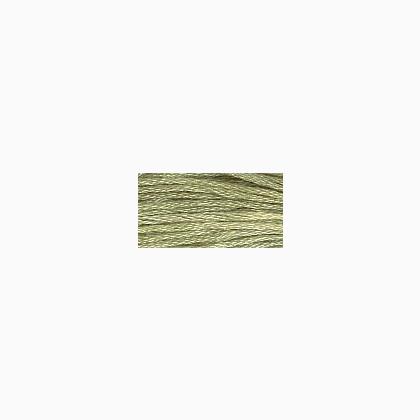 Simply Shaker: Green Apple