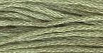 Sampler Threads: Evergreen