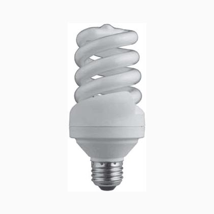 20W ES Daylight bulb
