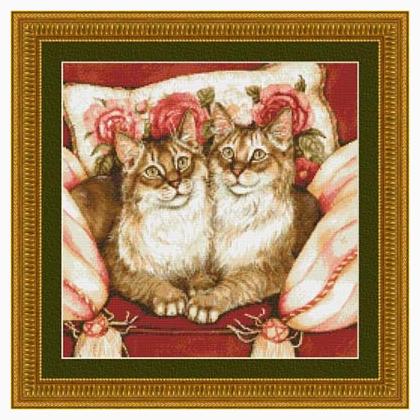 Feline Sisters