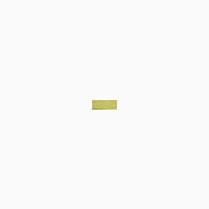 Needlepoint Silk - 241