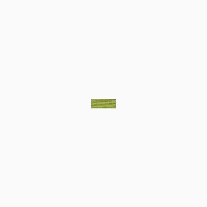 Needlepoint Silk - 253