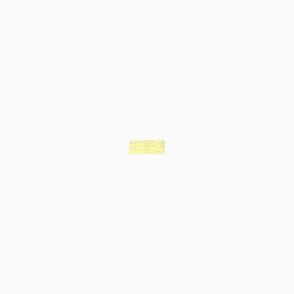 Needlepoint Silk - 471