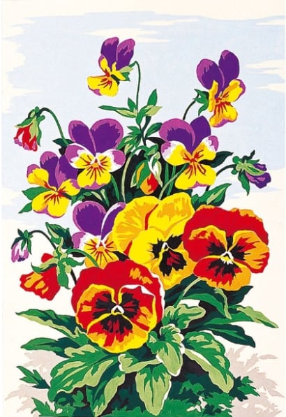 Flowers: Pansy