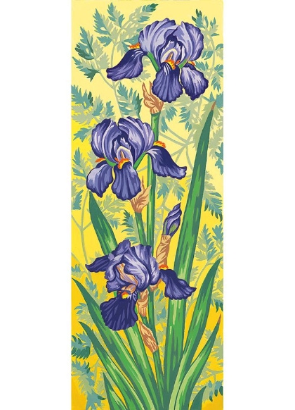 Purple irises