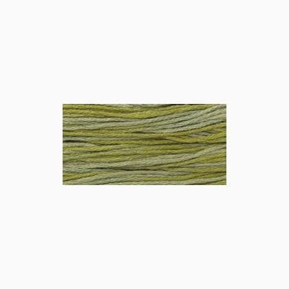 WDW 2196 Scuppernong