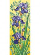 Purple irises