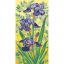 Purple irises