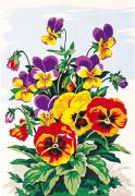 Flowers: Pansy