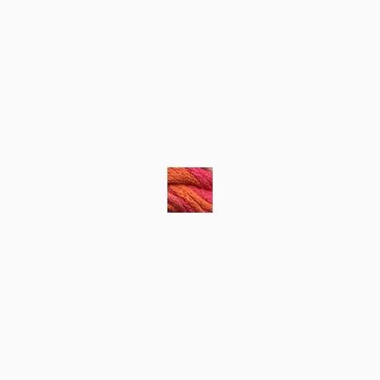 014 - Orange Fandango