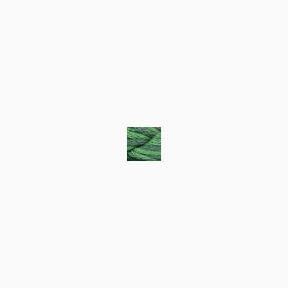 037 - Holly Green