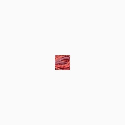 043 - Plantain