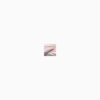 052 - Shoerbird