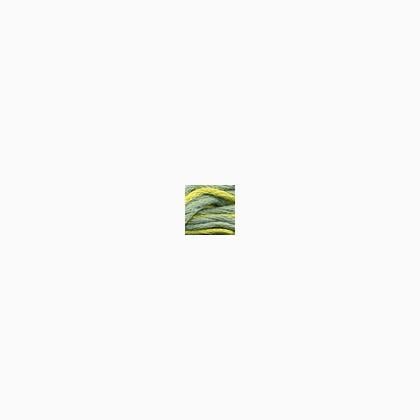 062 - Yellow Spice