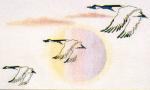 Flight Of Three