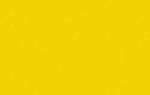 Acrylic Color - transp. giallo oro