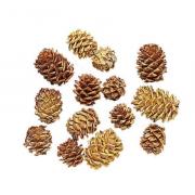 Pine cones