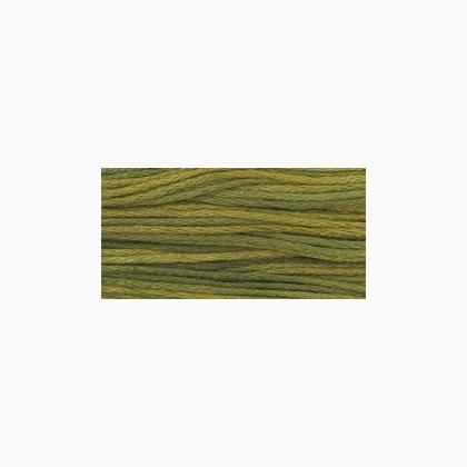 WDW 2201 Moss