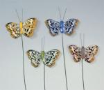 Feather Butterfly (4) - 5cm.