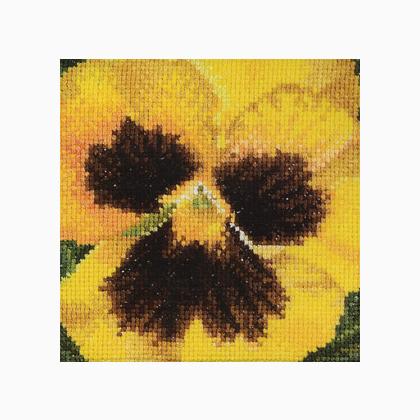 Pansy: Yellow and Brown