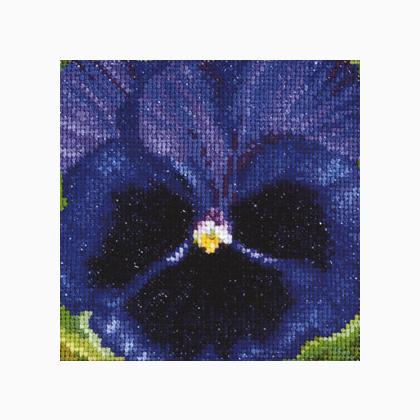 Pansy: Royal Purple