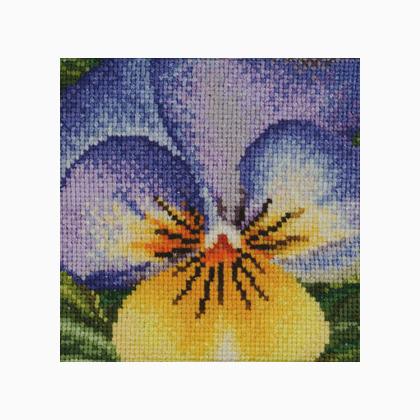 Pansy: Purple and Gold