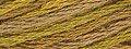 Valdani Hand-Overdyed 6 Strand - Tarnished Gold