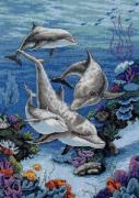 The Dolphins' Domain