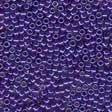42101 Purple