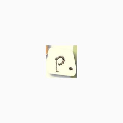 0400P - Tea-dyed Letter P