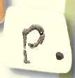 0400P - Tea-dyed Letter P