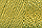 Soie 100/3 - 329