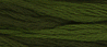 English Ivy
