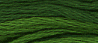 Grasshopper