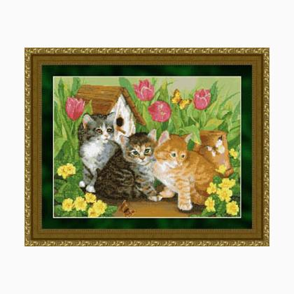 Kitties