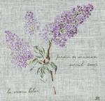 Le vieux lilas